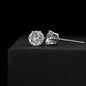 PT Earrings